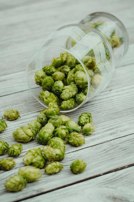 Hopfen