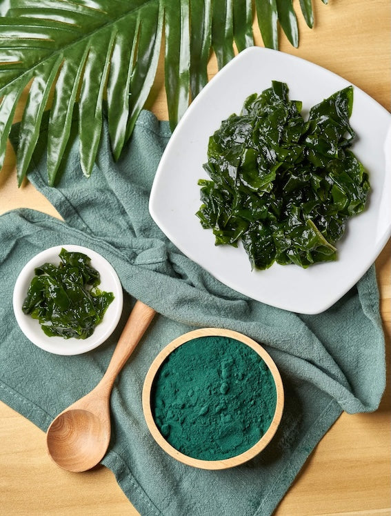 Spirulina