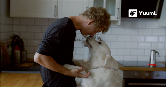 Warum dein Hund ein All‑in‑One‑Supplement wie Yuumi braucht