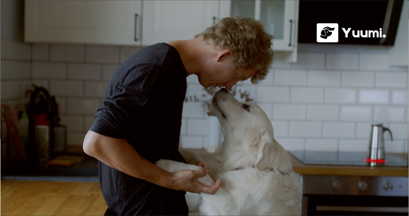 Warum dein Hund ein All‑in‑One‑Supplement wie Yuumi braucht