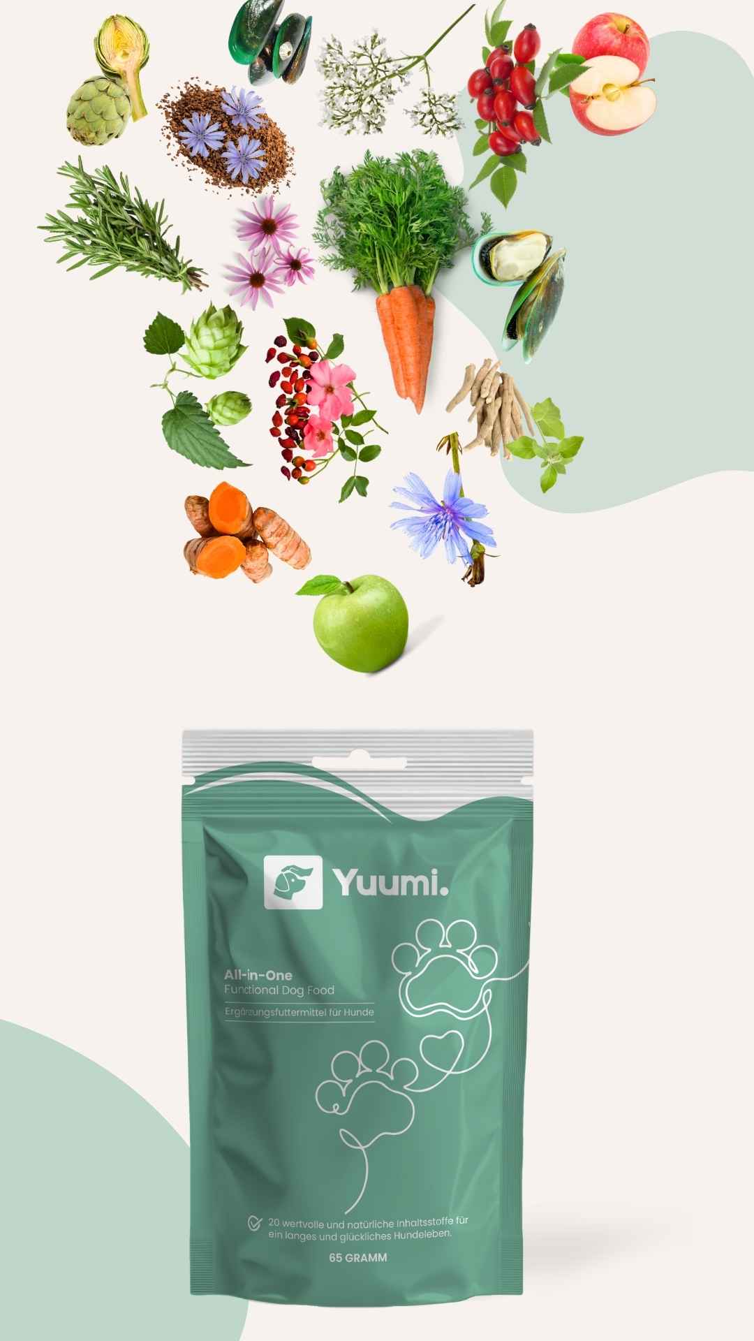 Yuumi All-in-One – natürliche Komplett-Ergänzung für Hunde