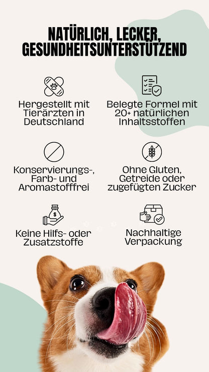 Yuumi All-in-One – natürliche Komplett-Ergänzung für Hunde