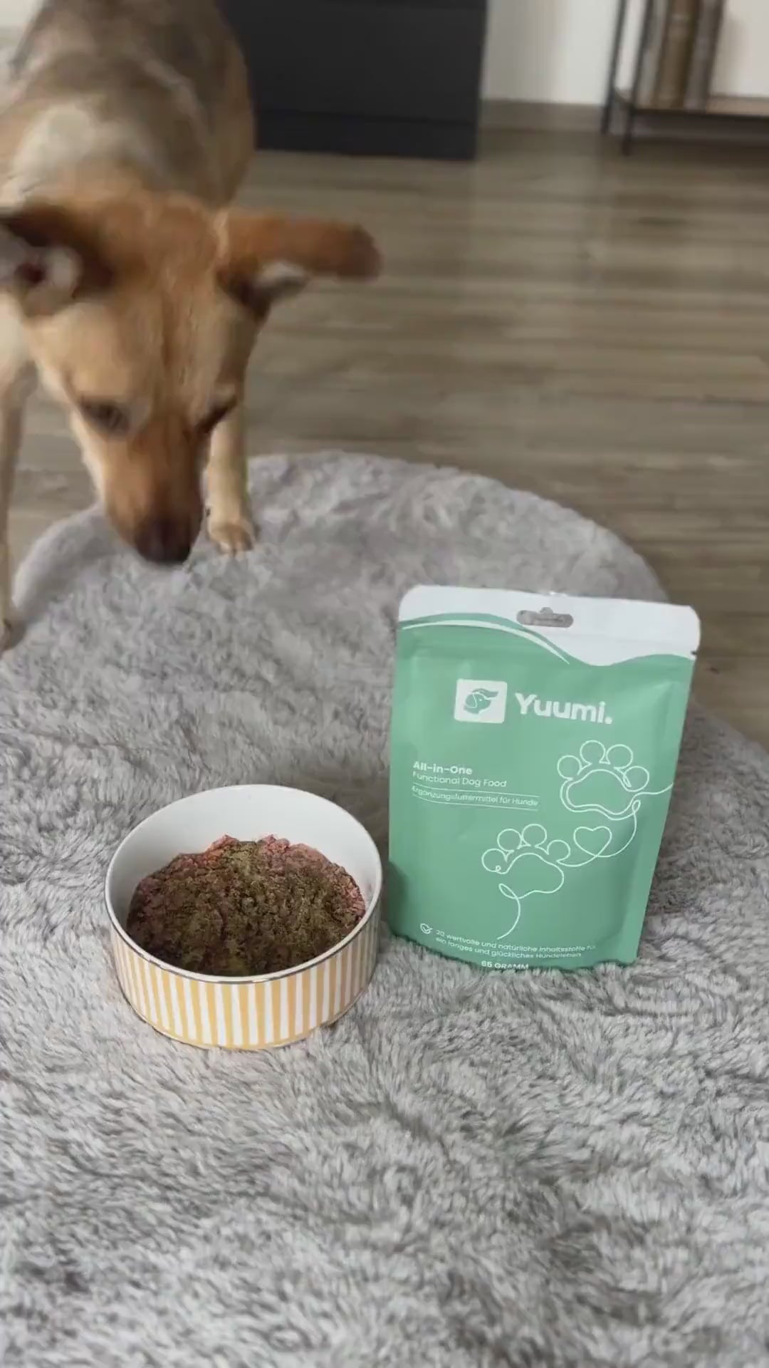 Yuumi All-in-One – natürliche Komplett-Ergänzung für Hunde