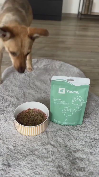 Yuumi 30-Tage Basisversorgung für deinen Hund
